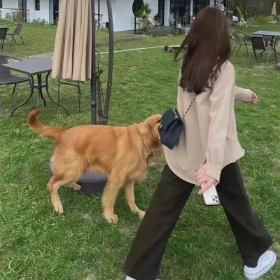 风暴时代